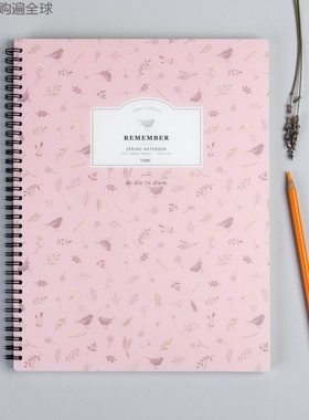 韩国原产tobe大学生追忆系列75页横线笔记本子清新简约大记事本A4
