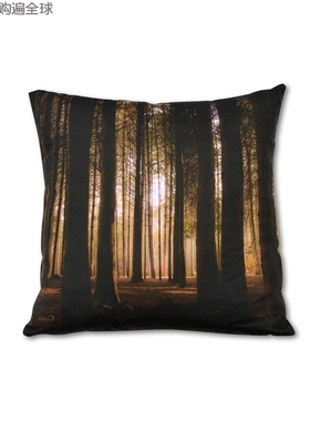 澳洲进口SQ Studio方形沙发汽车腰靠油墨画棉亚麻抱枕靠垫 45cm