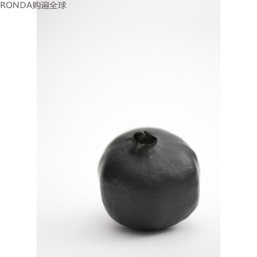 瑞典摄影植物装饰画
