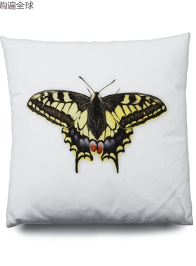 英国ARLEY HOUSE欧式古典靠垫鸭绒羽绒沙发靠枕抱枕 43cm黄色蝴蝶