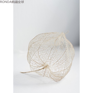 簡約 Skir 瑞典進口 M.北歐現代 飾畫植物掛畫 Details 攝影裝