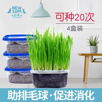 Newson Cat Cat Seeds Seeds в кошки, воздушные змеи, семена кошачьей травы De -Ball, Furbal Cats закуски Cat Mint 4 коробки