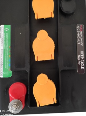 进口加拿大TCED蓄电池6V200AH/225AH升降机高尔夫球车巡逻车电瓶