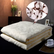 Cotton satin jacquard quilt 60 bìa bông màu rắn bao gồm một mảnh tùy chỉnh mùa thu và mùa đông đôi chăn mùa hè - Quilt Covers