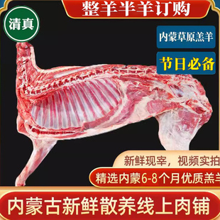 现宰清真整个羊内蒙古草原羊肉烤全羊新鲜冷冻一整只40斤处理干净