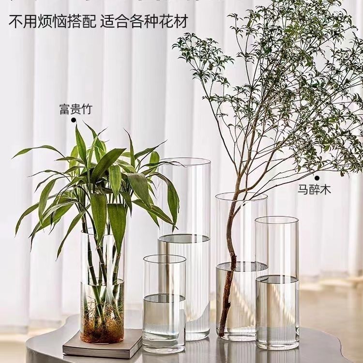 高硼硅轻奢高级感透明玻璃花瓶大插花水养玫瑰专用客厅装饰摆件