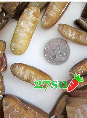 金茸片 100g/袋纯素食海带金茸条海茸天然蛋白海藻干货海产品凉拌