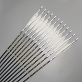 战鸽碳箭5. 2内径真羽箭700挠度纯碳箭600碳素箭美猎箭传统弓箭