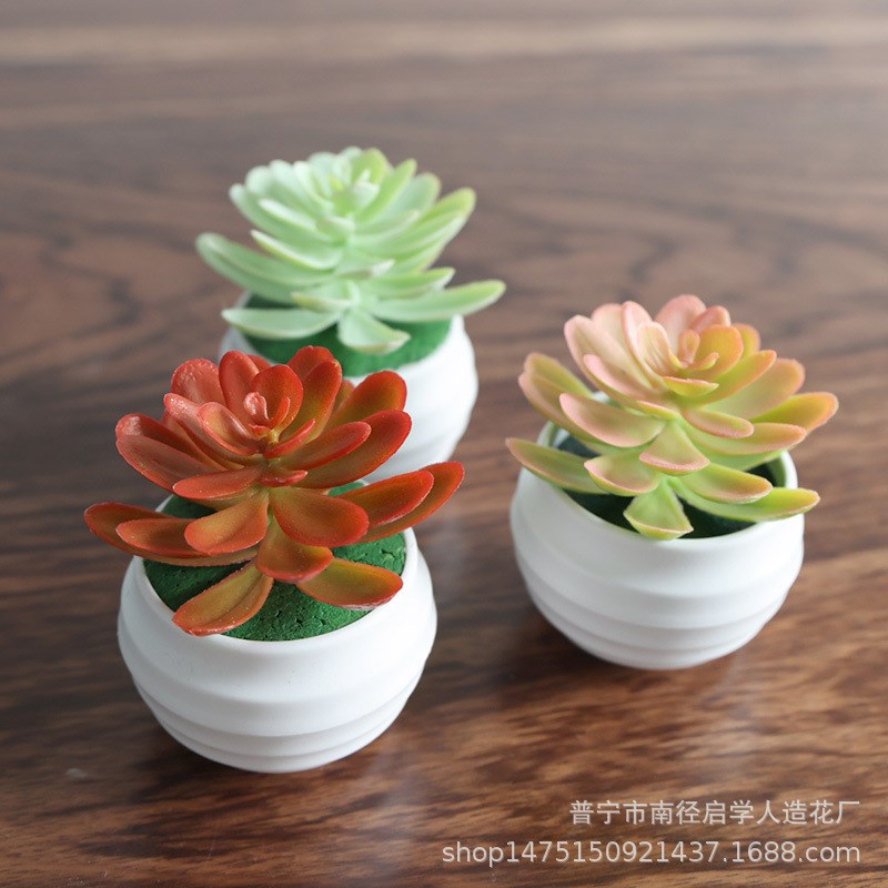 仿真多肉植物盆景迷你人造假多肉配件绿植墙DIY家居装饰摆件盆栽