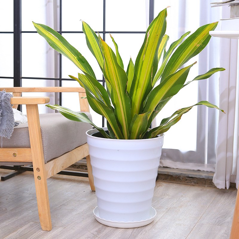 厂家特大号加厚加高黑白色螺纹花盆圆形树脂仿陶瓷塑料绿植盆