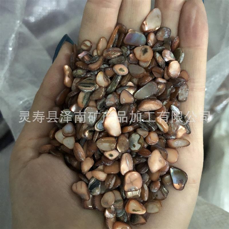 厂家供应 美甲装饰画用彩色贝壳 造景用染色贝壳图片