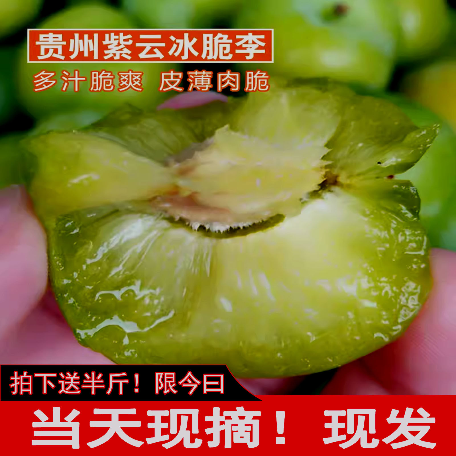 贵州冰脆李脱骨李四月李子新鲜水果应季孕妇酸甜青脆李非四川李子