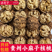 贵州特产新鲜紫皮核桃小麻子干核桃纸皮核桃薄皮孕妇儿童坚果小吃