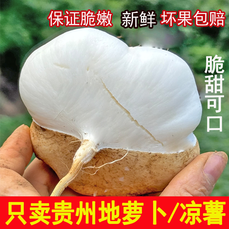 贵州萝卜地瓜新鲜现挖凉薯农家土地瓜豆薯红薯番薯当季蔬菜无添加