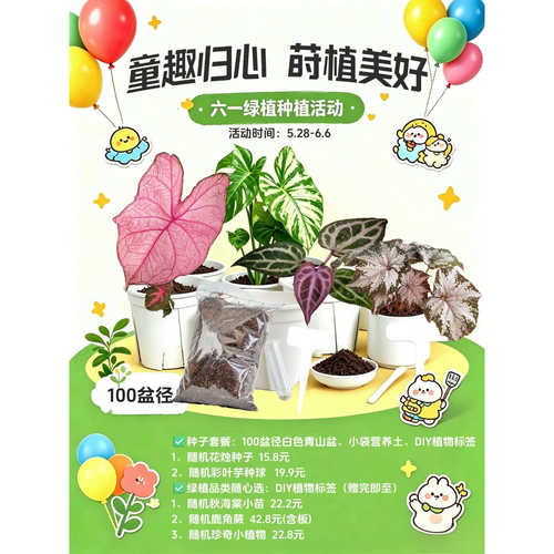 六一绿植种植礼包