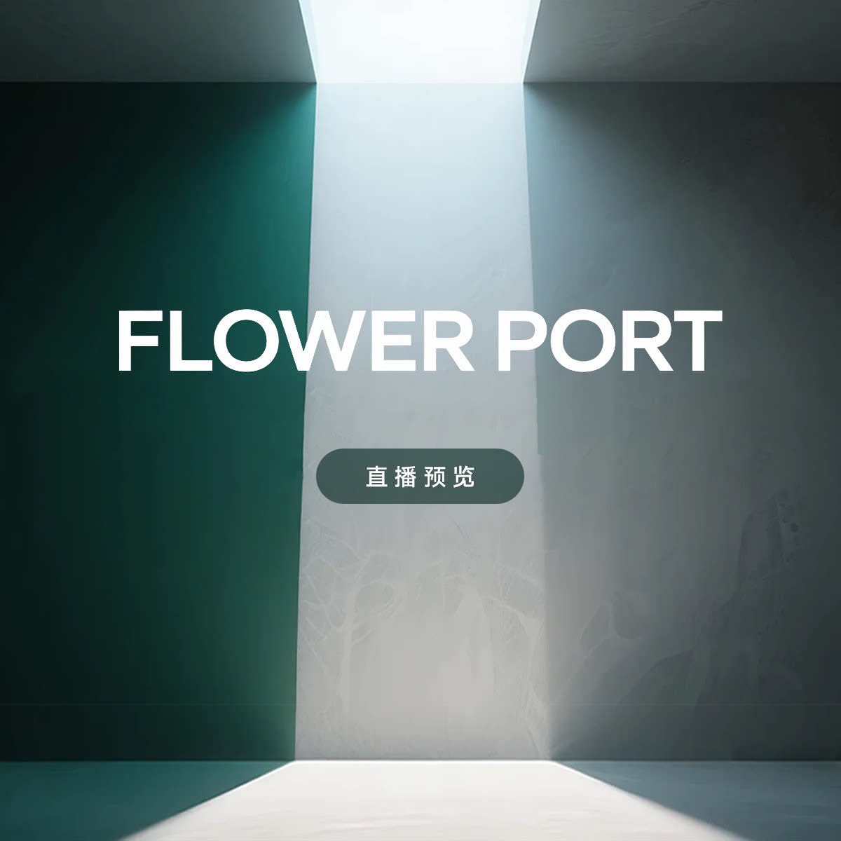 【 本场播单｜FLOWER PORT】8.14 彩叶芋