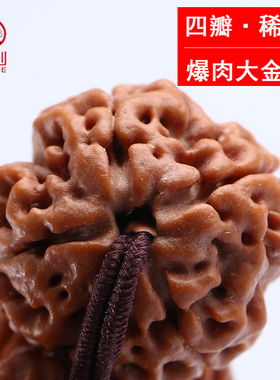 弥刻尼泊尔四瓣4大金刚菩提子