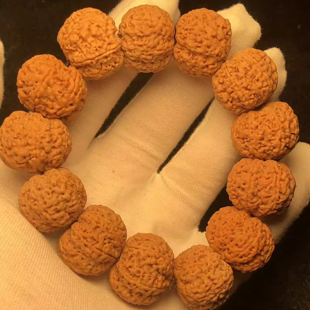 尼泊尔大金刚满肉蜂王7瓣22mm