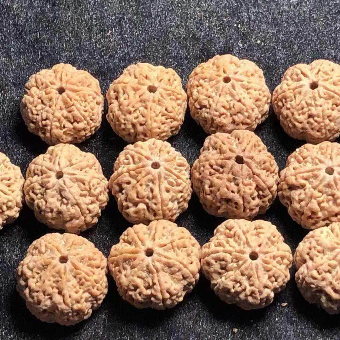 7瓣蜂王20mm尼泊尔金刚菩提子手串爆肉蜂王黄皮佛珠男士一物一拍