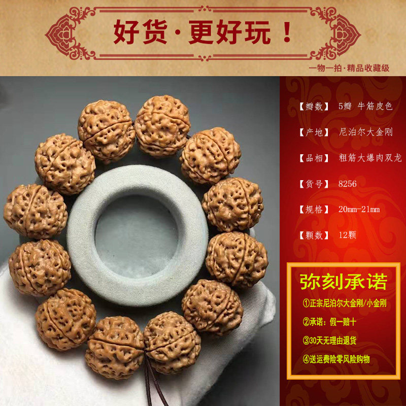 弥刻5瓣尼泊尔大金刚菩提手串大爆肉双龙纹路矮桩高密度佛珠20mm+