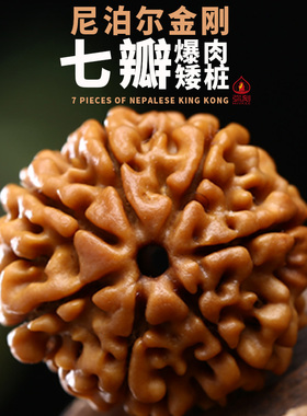 弥刻真品7瓣尼泊尔七瓣大金刚菩提子佛珠黄皮文玩手串链男士矮桩
