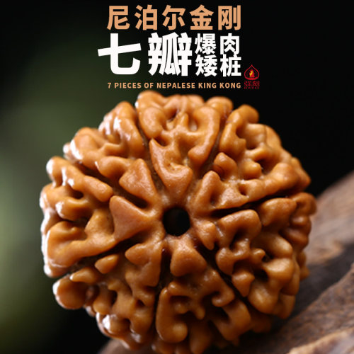 弥刻真品7瓣尼泊尔七瓣大金刚菩提子佛珠黄皮文玩手串链男士矮桩 - 封面