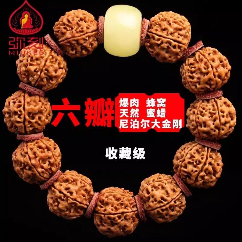 弥刻6瓣7瓣尼泊尔大金刚菩提