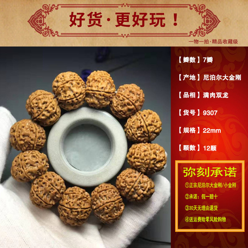 满肉尼泊尔大金刚同树籽菩提佛珠