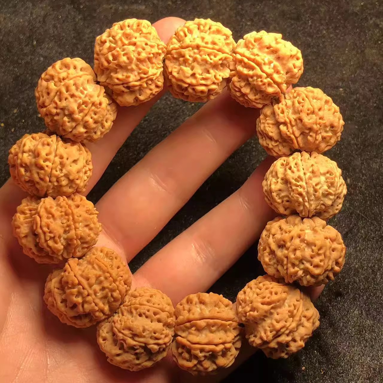 7瓣25mm尼泊尔孔大原籽