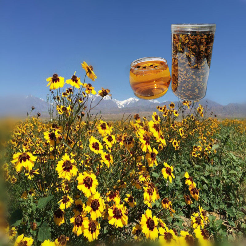 雪菊茶新疆特产罐装100克包邮泡茶特级雪菊正品败暑降火养生