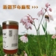 罗布麻花黑蜂蜂蜜新疆蜂农原产地自产自销2斤 2024新蜜 包邮