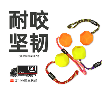 JuliusK9IDC欧洲进口狗狗智力训练磨牙耐咬泰迪金毛玩具球荧光球