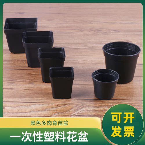 一次性花盆塑料黑方多肉育苗