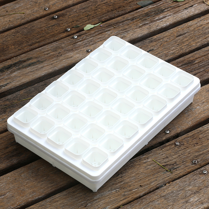 4cm方盆塑料特厚浅方盆多肉叶插