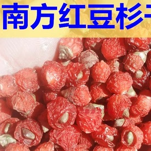 红豆杉干果新鲜野生红豆杉果子干红豆杉果实果子酒紫杉醇泡茶泡酒