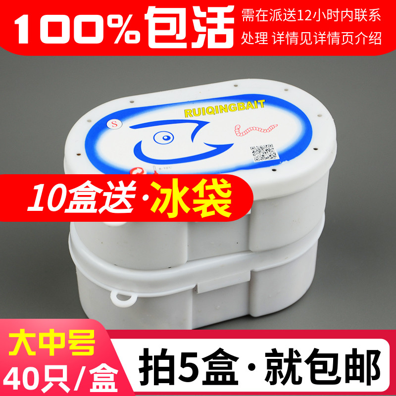 拍5盒包邮 葡萄蜜虫守宫玉米虫活虫蜜袋鼯大蜡螟幼虫钓鱼钓饵鸟粮