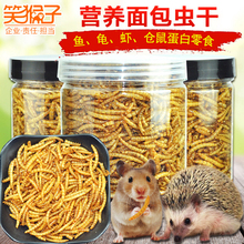 爬虫刺猬虫干零食拌粮金鱼饲料 700ML面包虫干龙鱼粮食仓鼠黄粉虫