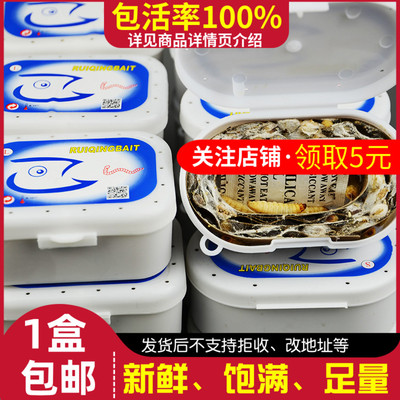 钓鱼鱼饵葡萄蜜虫玉米虫爬宠零食