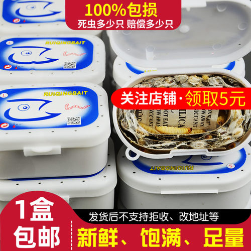 钓鱼鱼饵葡萄蜜虫玉米虫爬宠零食