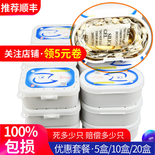 爬宠零食玉米虫活虫钓鱼葡萄蜜虫