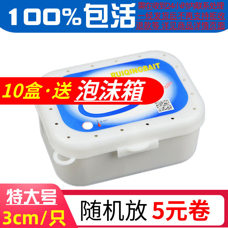 特大号3cm葡萄蜜虫守宫零食 大蜡螟幼虫钓鱼玉米虫钓饵鸟食活虫