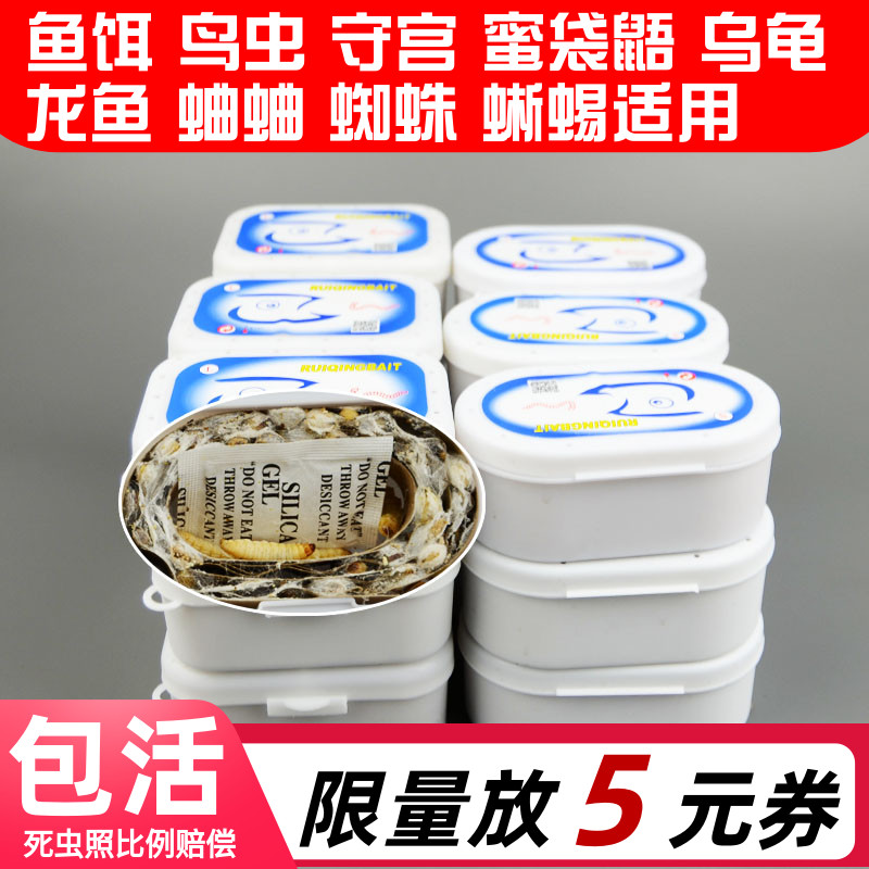 葡萄蜜虫钓鱼钓饵守宫玉米虫活虫 蜜袋鼯零食爬宠大蜡螟幼虫鸟粮
