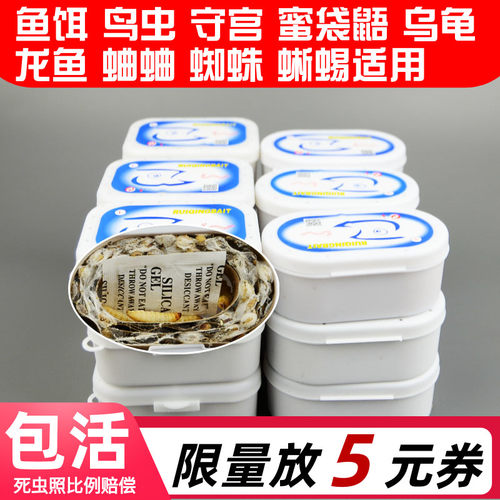 葡萄蜜虫钓鱼钓饵守宫玉米虫活虫 蜜袋鼯零食爬宠大蜡螟幼虫鸟粮