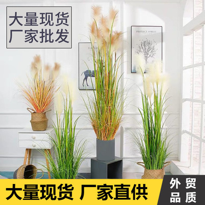 仿真芦苇人造芦苇草假植物商场家居装饰洋葱狗尾巴草仿真绿植
