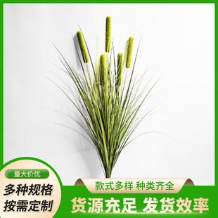 蒲棒水草绿植把束香蒲棒水蜡烛狗尾草圆球柄草仿真芦苇
