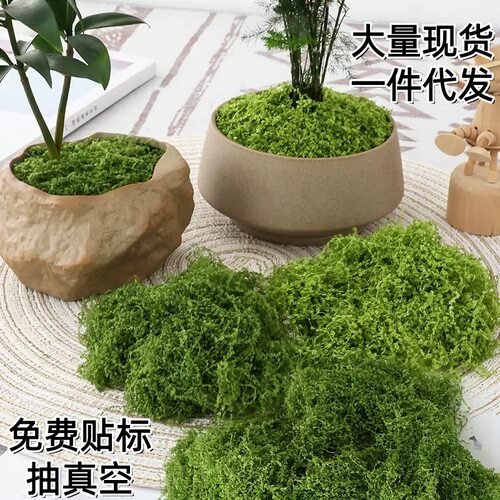 热销仿真苔藓永生毛线盆景铺面高