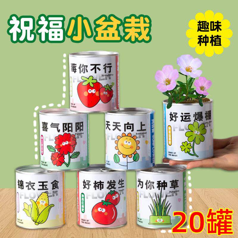易拉罐植物盆栽种植种子迷你果花
