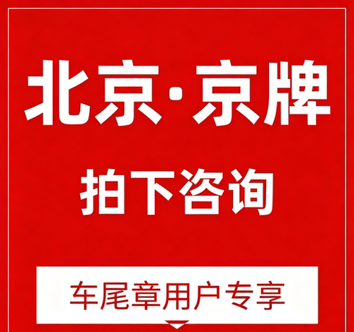 北京违章（自助）