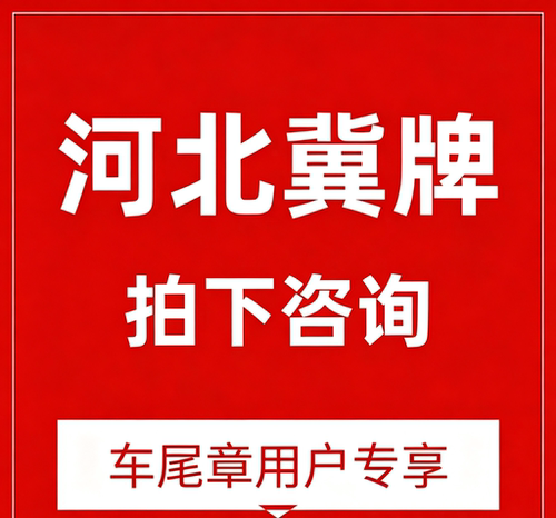 河北违章（自助）