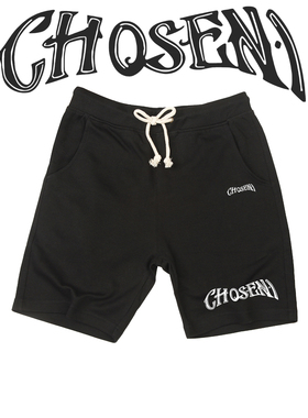 詹姆斯Chosen1天选之子美式篮球印花短裤男女训练宽松运动五分裤
